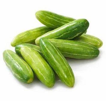 Ivy Gourd (Tindly)