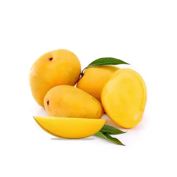 Mango - Badami