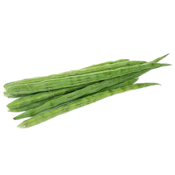 Drumstick