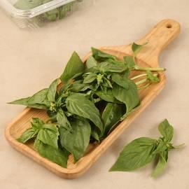 Basil Italian