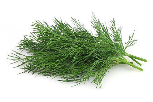 Dill Leaves (Shepu)