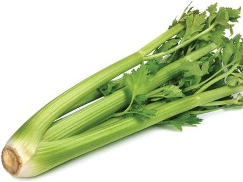 Celery