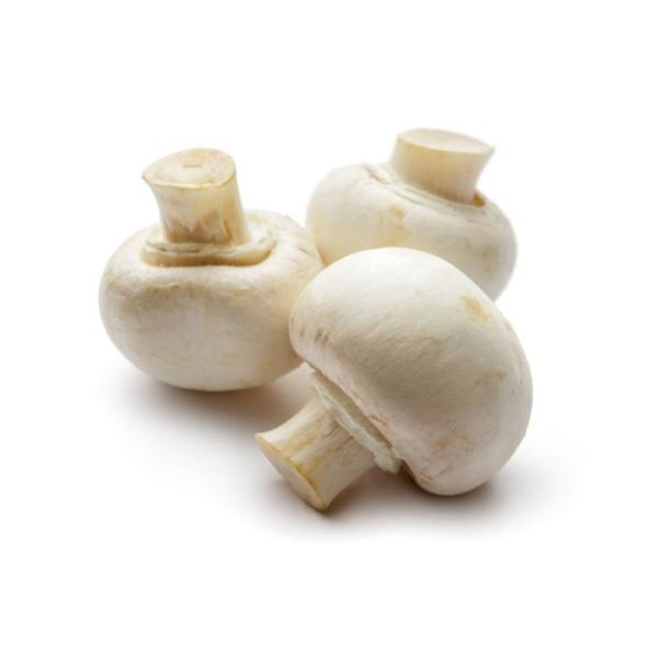 Mushroom Button