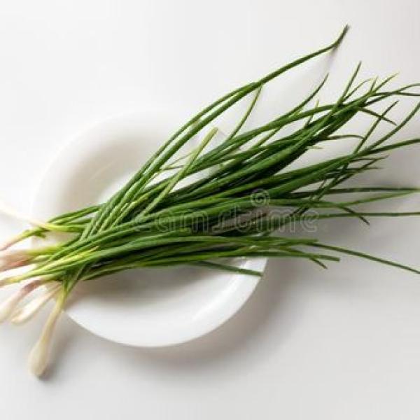 Spring Onion
