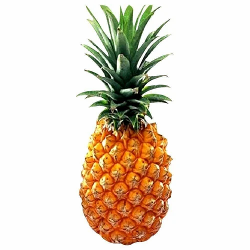 Pineapple - Queen