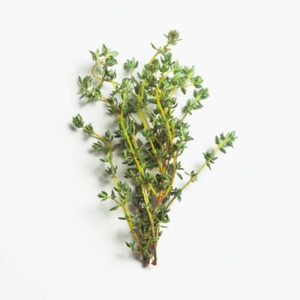 Thyme