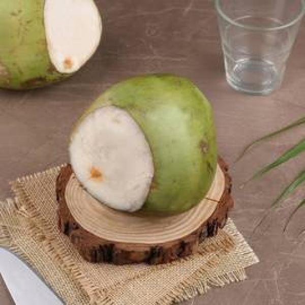 Coconut - Tender